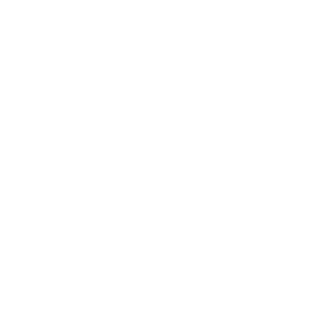 IP54 Protection