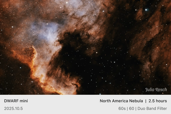 Exclusive Signature Under the Starry Sky 4